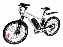 El-sport bike TDE-10 350W