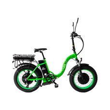 Elbike Taiga 1 Twix 2000 (Зеленый)