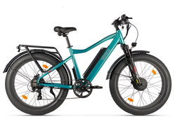 Eltreco BigCat Dual Next PRO (зеленый матовый)