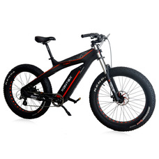 GreenCamel Kontax (750W Bafang 48V LG 13Ah)