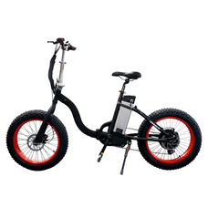 El-sport bike TDN-01 500W El-sport bike TDN-01 500W